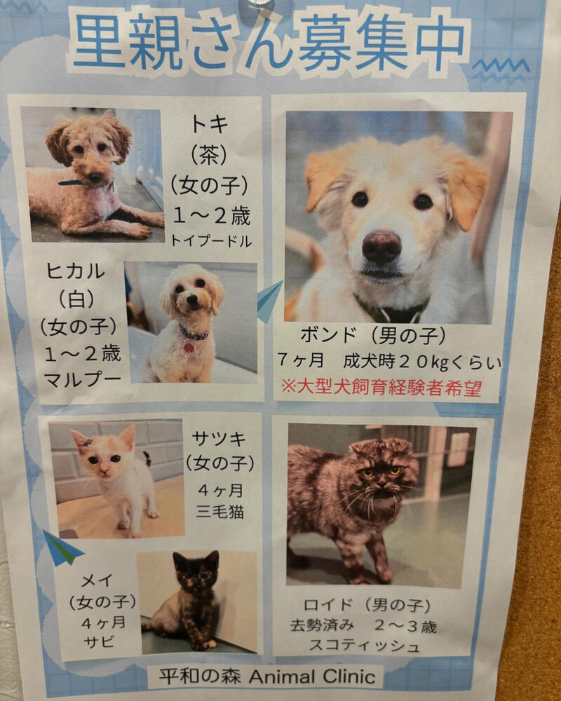 ブログ画像