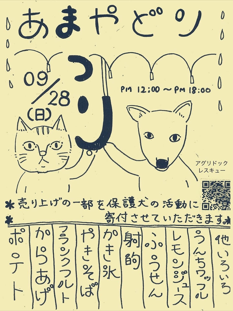 ブログ画像