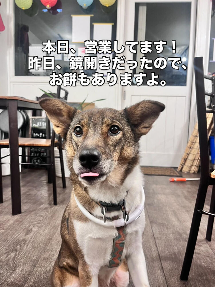 ブログ画像