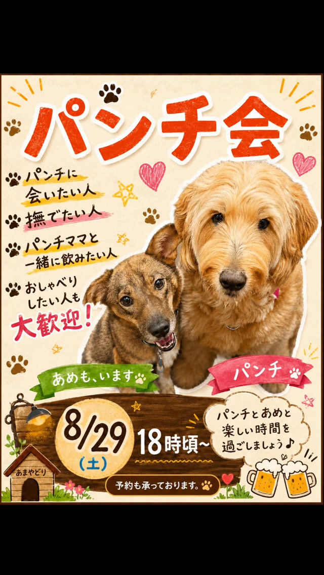 🐶💕 パンチ会、はじめます！ 🍻