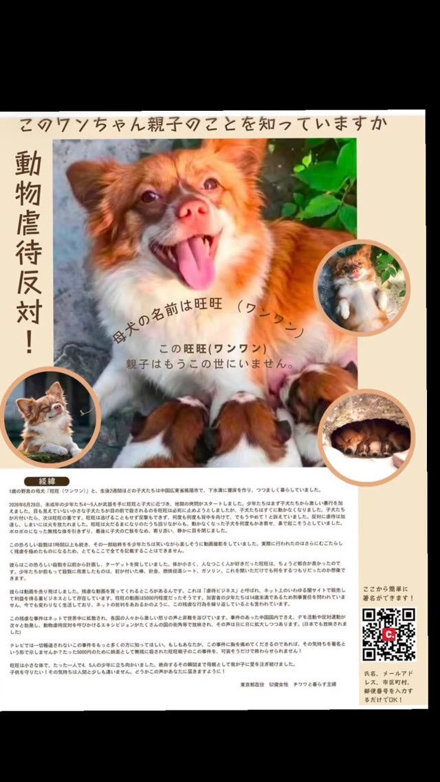 あまやどりに、こちらのチラシを貼らせていただいています