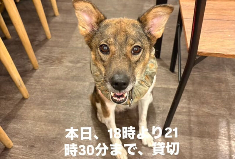 動画サムネイル