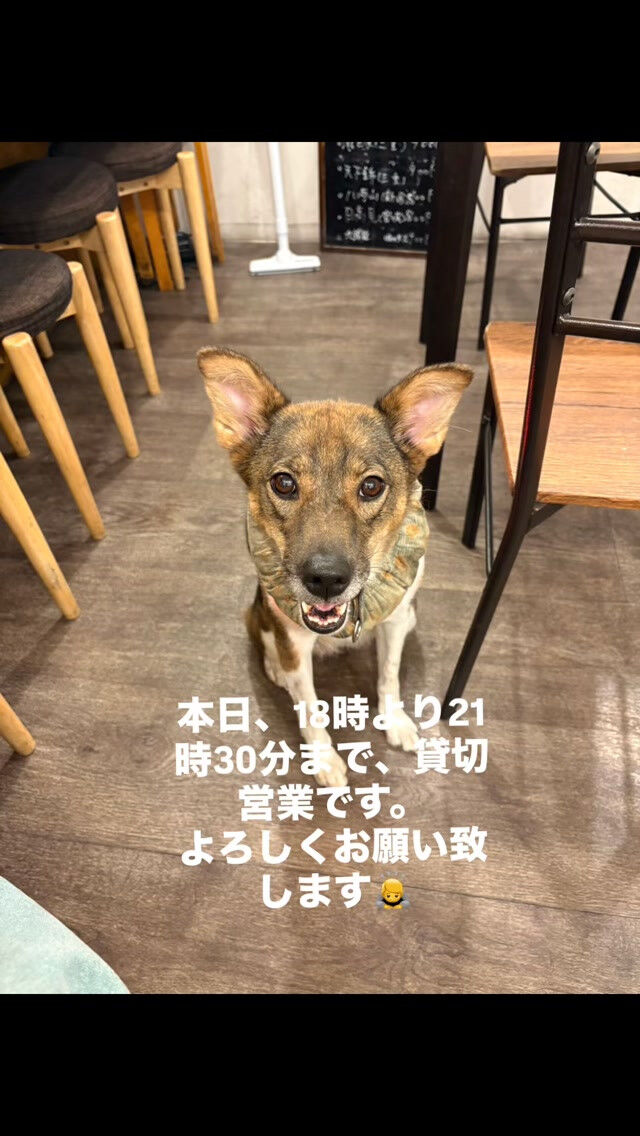 🌿 本日の営業のお知らせ 🌿