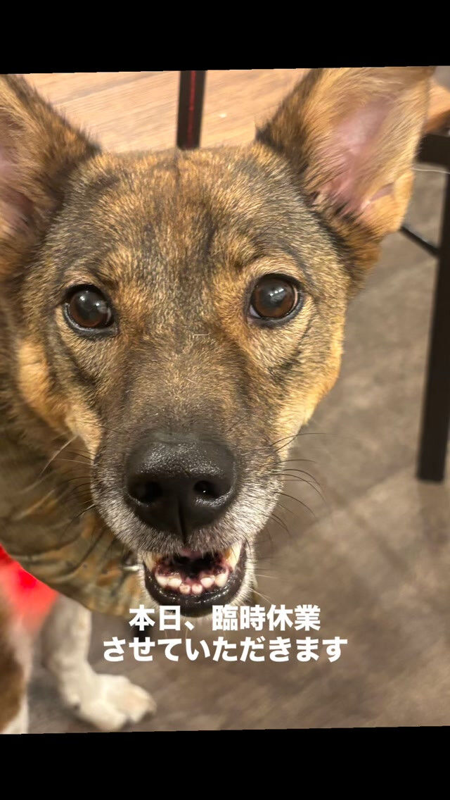 【本日、臨時休業のお知らせ】